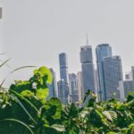 fun things to do in brisbane